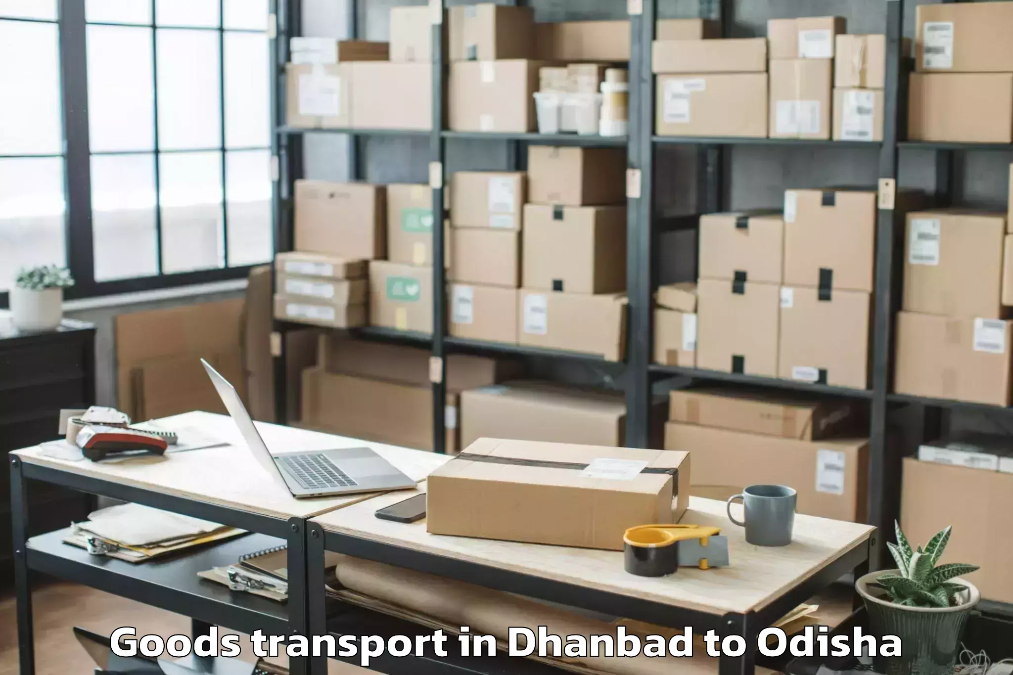 Discover Dhanbad to Nimapara Goods Transport